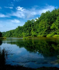 Tree reflection on a lake