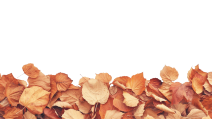Dry autumn leaves at the bottom creating a natural border on a transparent backdrop, with space for text.