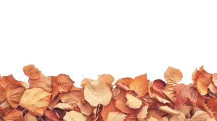 Foto op Plexiglas Dry autumn leaves at the bottom creating a natural border on a transparent backdrop, with space for text. © Jan