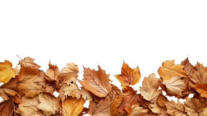 Dry autumn leaves at the bottom creating a natural border on a transparent backdrop, with space for text.