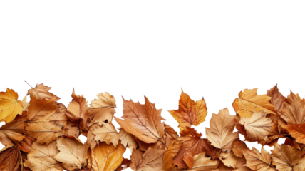 Dry autumn leaves at the bottom creating a natural border on a transparent backdrop, with space for text.