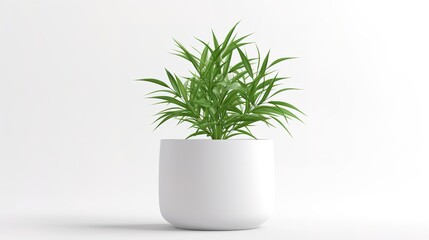 3D digital render of plant in a white modern pot isolated on white background , generative ai