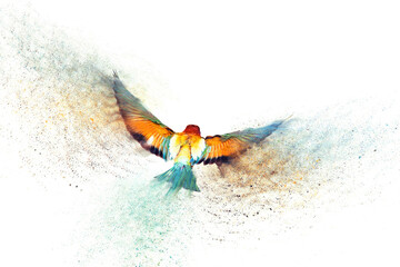 Wing. Abstract artistic nature. Dispersion, splatter effect.  White background. Bee eater. 