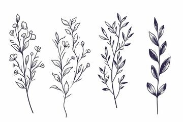 Fototapeta na wymiar Hand drawn floral branch and minimalist flowers for logo or tattoo on white background