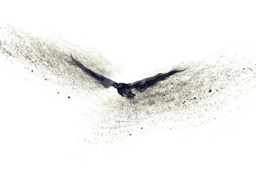 Flying raven. Abstract artistic nature. Dispersion, splatter effect. Kingfisher. White background.