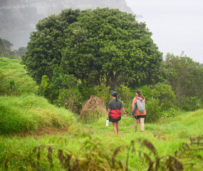 Fototapeta na wymiar Two women walking in the rain. Lush green grass and trees at Long Bay coastal Okura Track. Auckland.