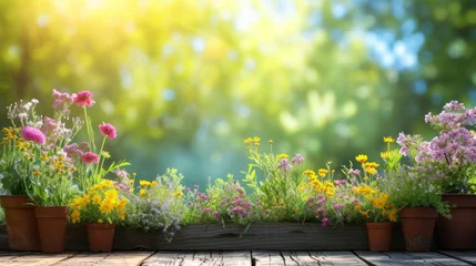 Foto op Canvas Beautiful background for garden spring party advertising © olegganko