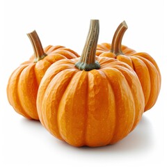 Obraz premium Pumpkins Isolated On White Clipping Path On White Background, Illustrations Images