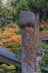 日本　山形県山形市にある立石寺、通称山寺の こけし塚と紅葉