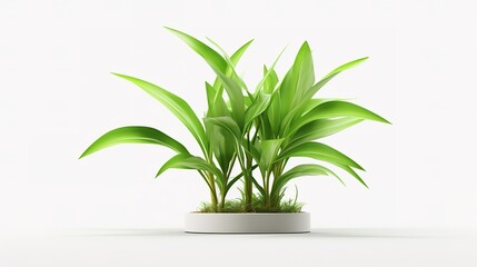 Fototapeta na wymiar 3D digital render of plant in a white modern pot isolated on white background , generative ai