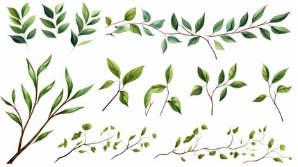 Illustration of twigs and branches with green leaves