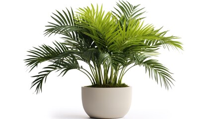3D digital render of plant in a white modern pot isolated on white background , generative ai