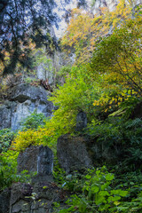 日本　山形県山形市にある立石寺、通称山寺の登山道沿いの風景と紅葉