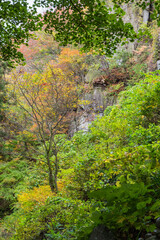 日本　山形県山形市にある立石寺、通称山寺の登山道沿いの風景と紅葉