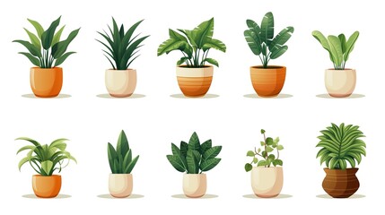 close-up view of various beautiful green houseplants in pots on white,  generative ai
