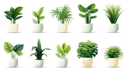 Collection of 3d realistic vector plant pot illustration icons for interior. Isolated on white background, , generative ai - obrazy, fototapety, plakaty