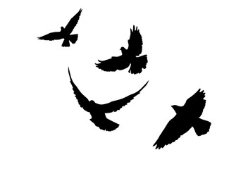 Flying birds silhouette flock. hand drawing. Not AI, Illustrat3 . Vector illustration