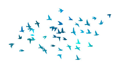 A flock of blue watercolor flying birds. Free birds abstraction. hand drawing. Not AI. Vector illustration - obrazy, fototapety, plakaty