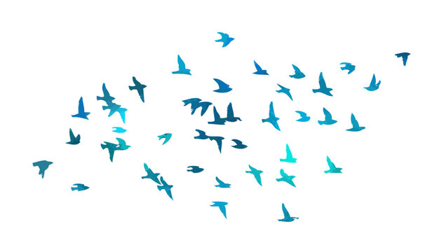 A flock of blue watercolor flying birds. Free birds abstraction. hand drawing. Not AI. Vector illustration