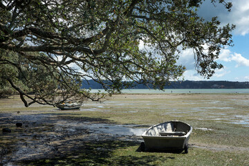 Rowing boat. Low tide at Cox Bay Auckland New Zealand