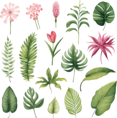 Fotobehang Realistic tropical botanical foliage plants. Set of tropical leaves and flowers Hand painted watercolor illustration isolated on white. © Ancestry Avenue