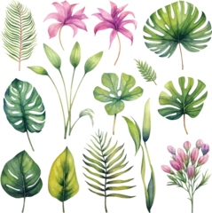  Realistic tropical botanical foliage plants. Set of tropical leaves and flowers Hand painted watercolor illustration isolated on white. © Ancestry Avenue