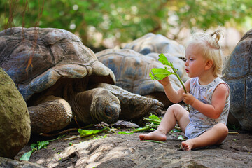 Little Boy Sitting Next to Tortoise