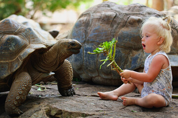 Little Boy Sitting Next to Turtle on the Ground