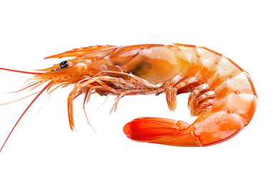 Savoring the Flavorful World of Shrimp Isolated on Transparent Background.