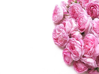 White background with pink roses on the side