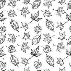 Seamless pattern background of leaves.