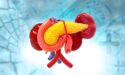 Human pancreas anatomy on scientific background. 3d illustration..