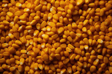 Ripe corn grains background, texture