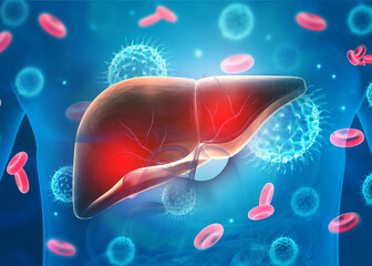 Human liver virus infection. 3d illustration. - obrazy, fototapety, plakaty