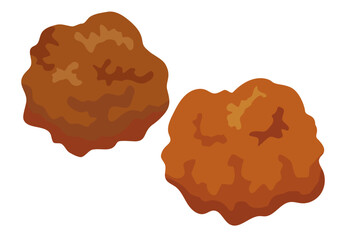 揚げ物_唐揚げ_鶏のからあげ