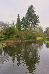 Fototapeta na wymiar Pond view in National Botanic Gardens, Dublin, Ireland