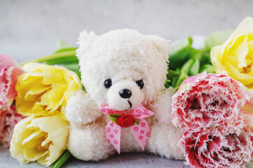 Teddy bear with tulips on a gray background. Valentine's Day, March 8, Mother's Day