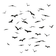 Crowd of flying bats on transparent background. Isolated vector and PNG clipart for Halloween.