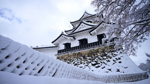 雪の彦根城 （滋賀県彦根市, 2024年1月）