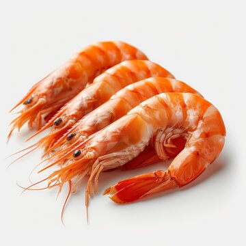 Fresh Shrimps Prawns Raw On White Background, Illustrations Images