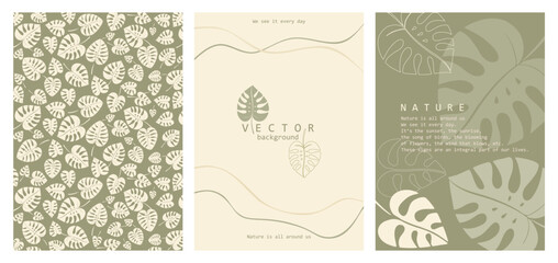 Vector illustration. Set of three posters, light monstera leaves on a green background, decor. Luxury design for invitations, report templates, presentations with plants, nature.