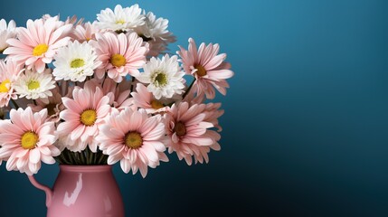 Pink daisy flowers on isolated blue background with copy space for text. Floral postcard.