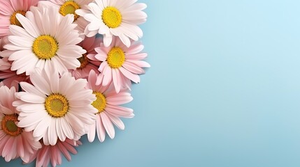 Daisy flowers with copy space for text. Frame with chamomile flowers. Flowers on isolated background