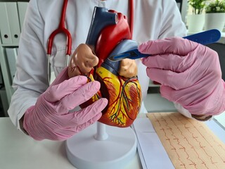 Surgeon performing heart bypass surgery with scalpel, isolated on white background.