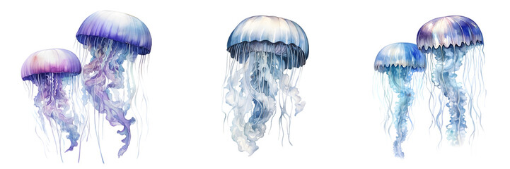 Set of Jellyfish Illustrations, Translucent Sea Creatures Isolated on Transparent Background
