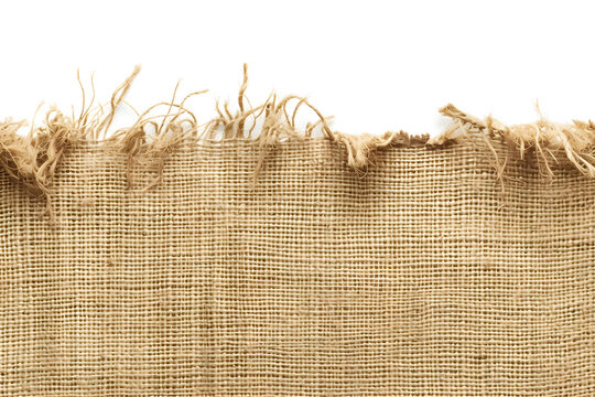 Burlap texture. A piece of torn burlap on a white background.