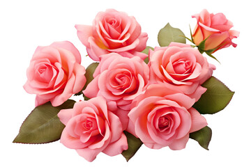 Beautiful pink roses in full bloom, with soft petals and green leaves, cut out