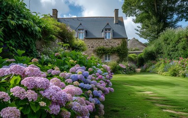 A picturesque scene of a beautiful garden adorned with hydrangeas in Brittany, capturing the serene and colorful ambiance of this floral landscape - obrazy, fototapety, plakaty
