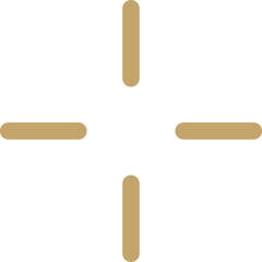 Golden firework element vector