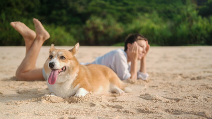 In the foreground, on a sandy beach, lies a Welsh Corgi dog with its tongue hanging out of its mouth, and in the background, a woman in a white shirt. A relaxing holiday on the beach with your dog.
